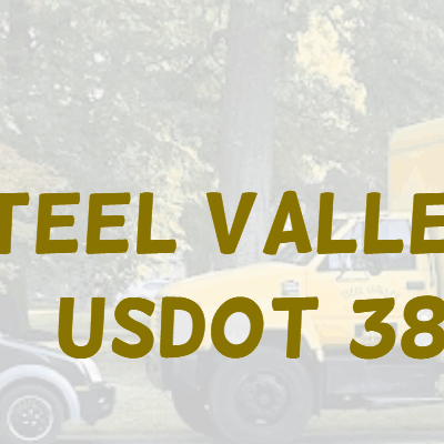 SteelValley MovingLLC