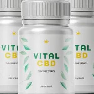 Vital Cbd